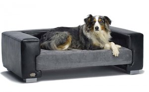 dog_bed